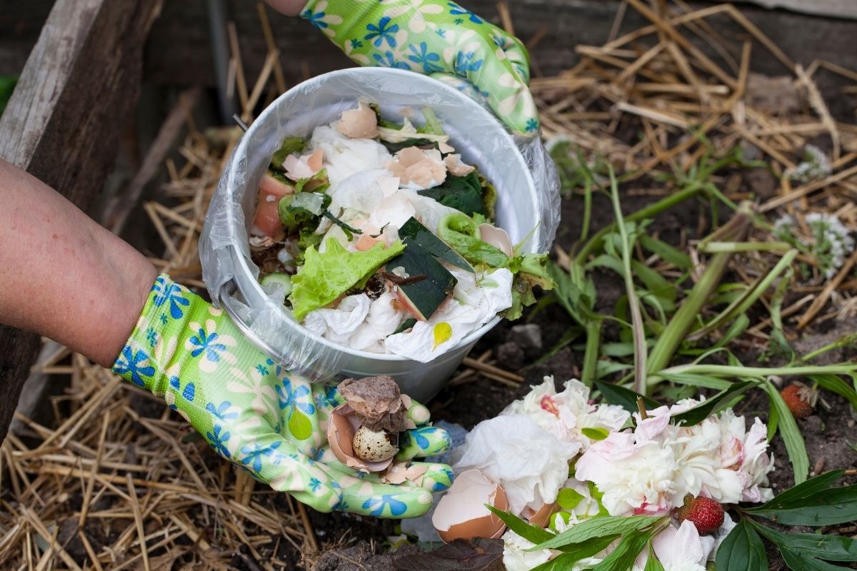 what makes the best compost starter