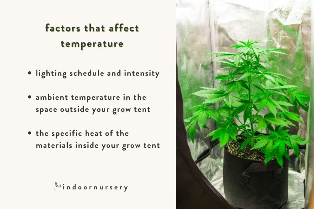 our tips on controlling grow tent humidity