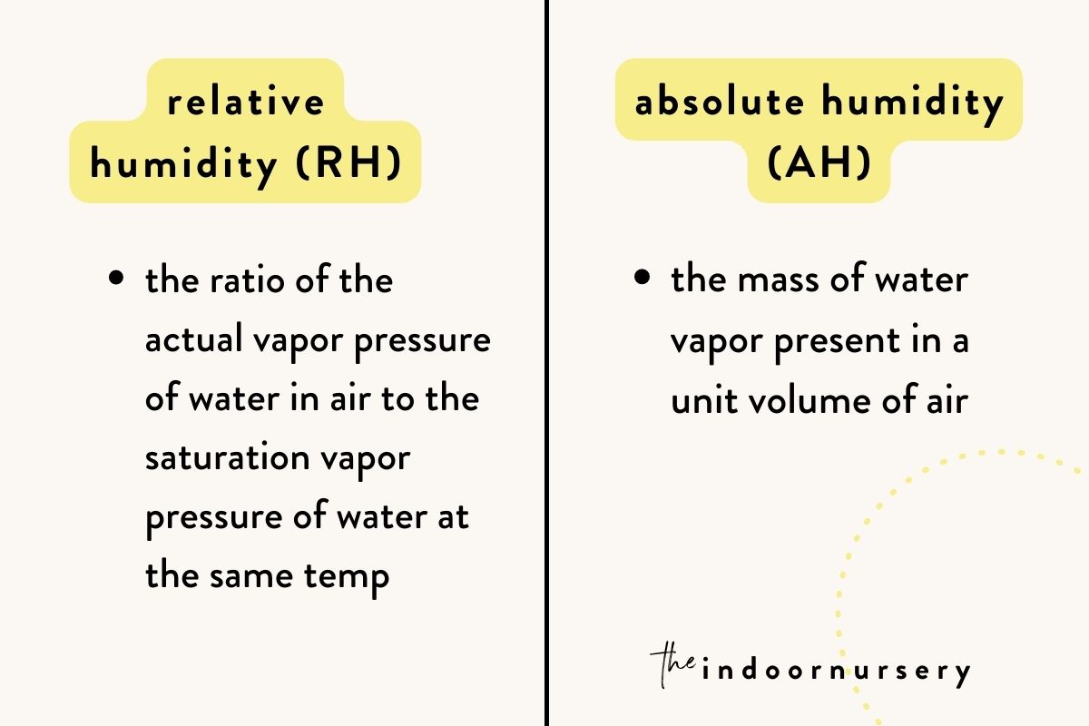  the difference between absolute humidity and relative humidity