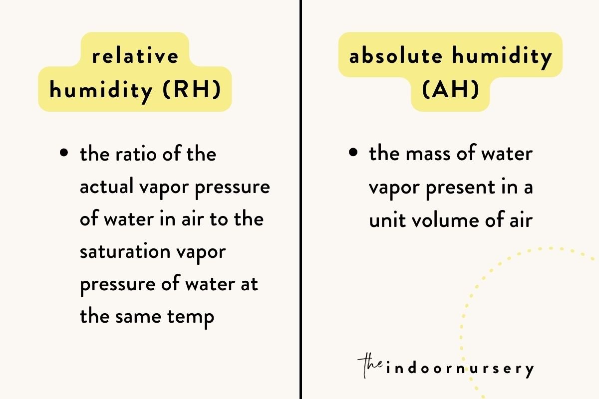 what-is-the-difference-between-absolute-humidity-and-relative-humidity