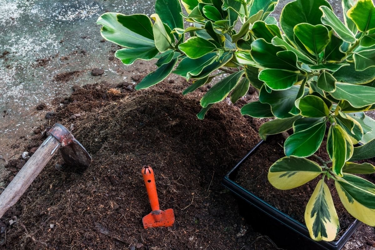 all natural compost starters