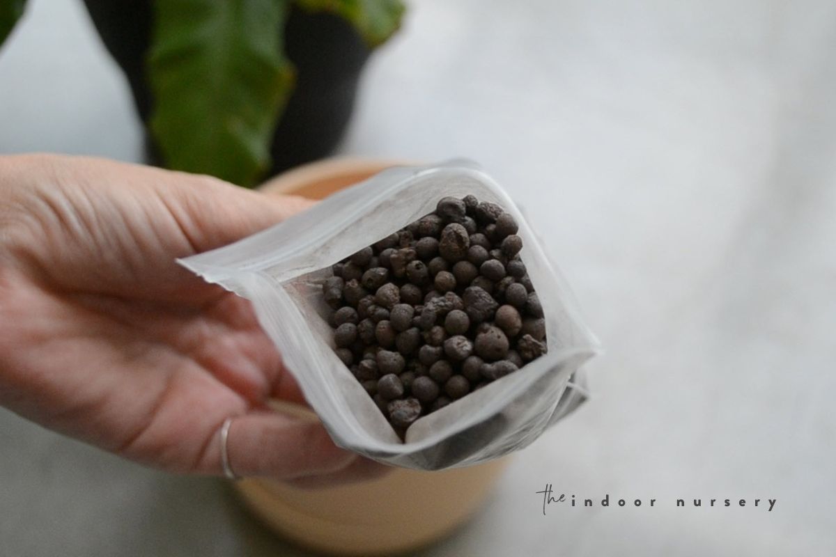 add clay pebbles to self watering container
