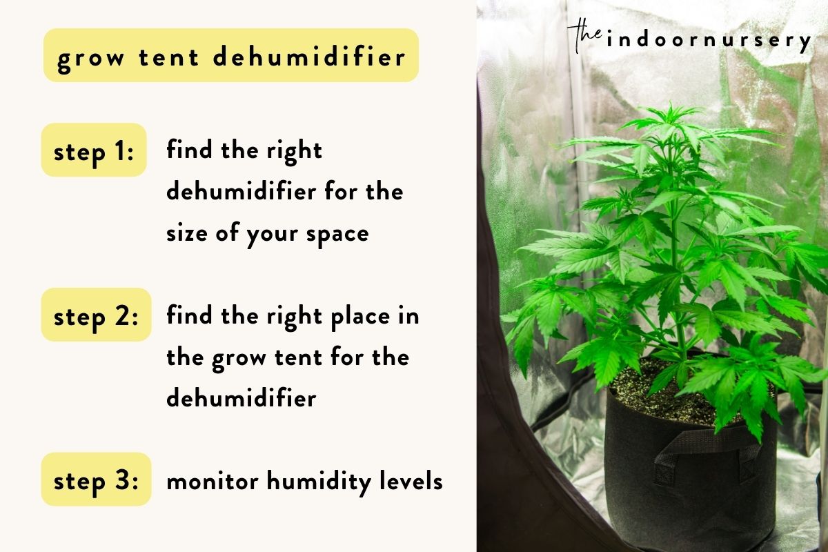 how to lower humidity in grow tent with a dehumidifier