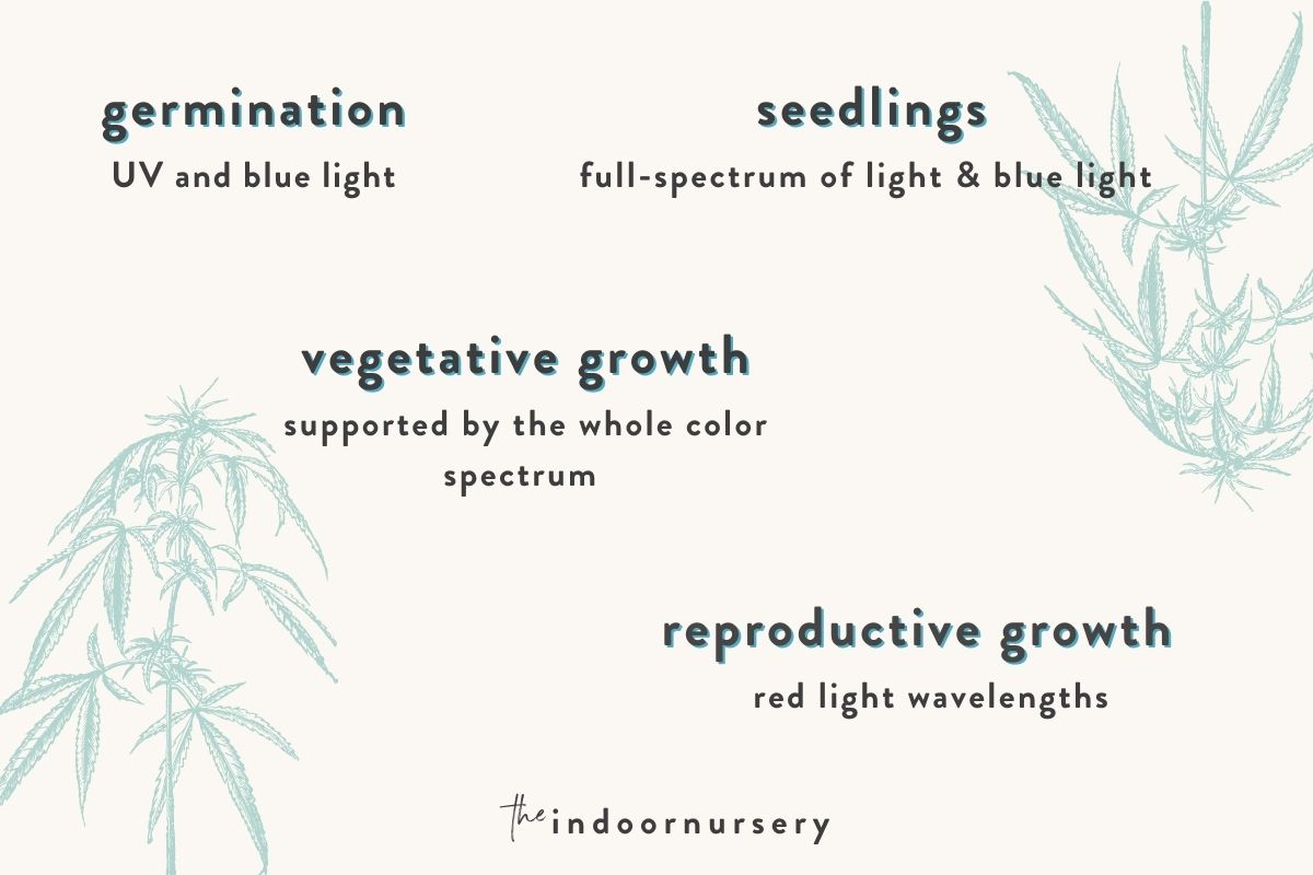 What color light is best for plant growth