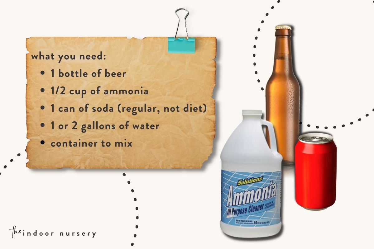 beer, ammonia, and soda