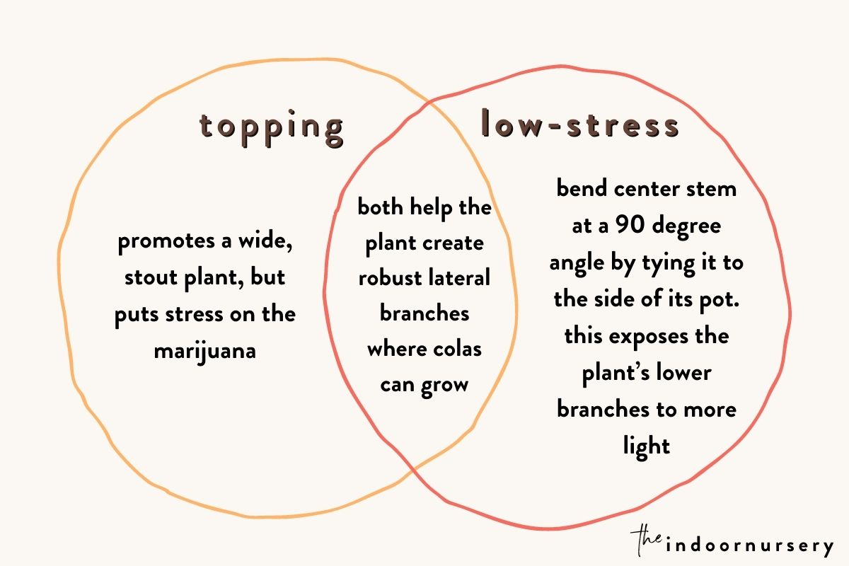 topping vs low-stress training