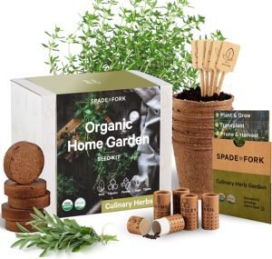 Indoor Herb Garden Starter Kit