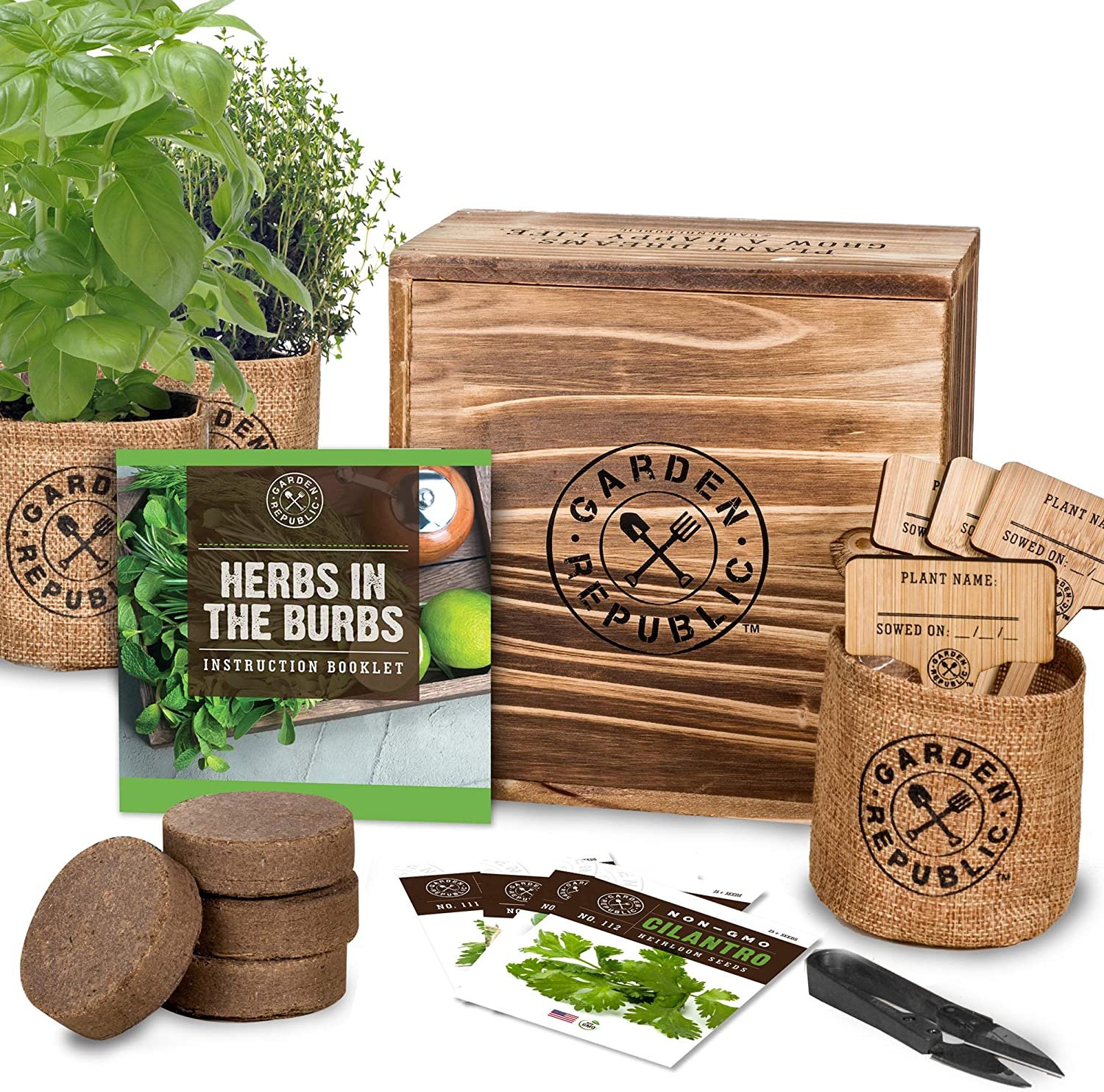 The best indoor herb garden kits for the kitchen