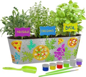 Paint & Plant Pizza Herb Growing Kit for Kids