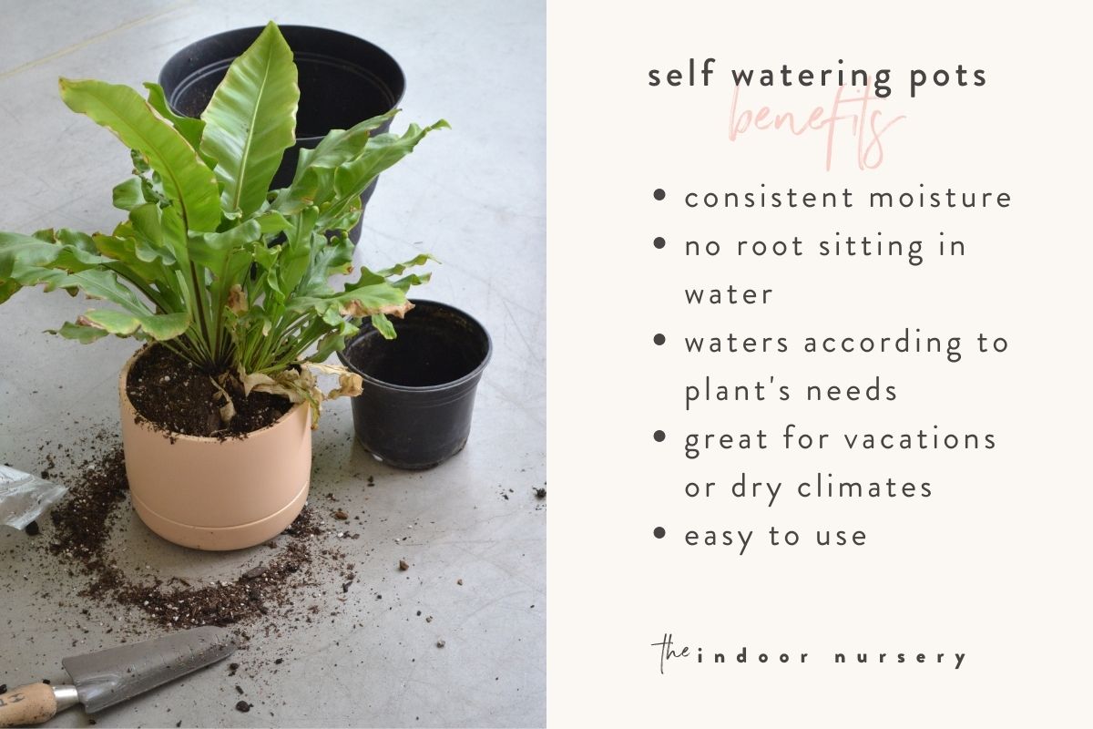 benefits of self watering pots