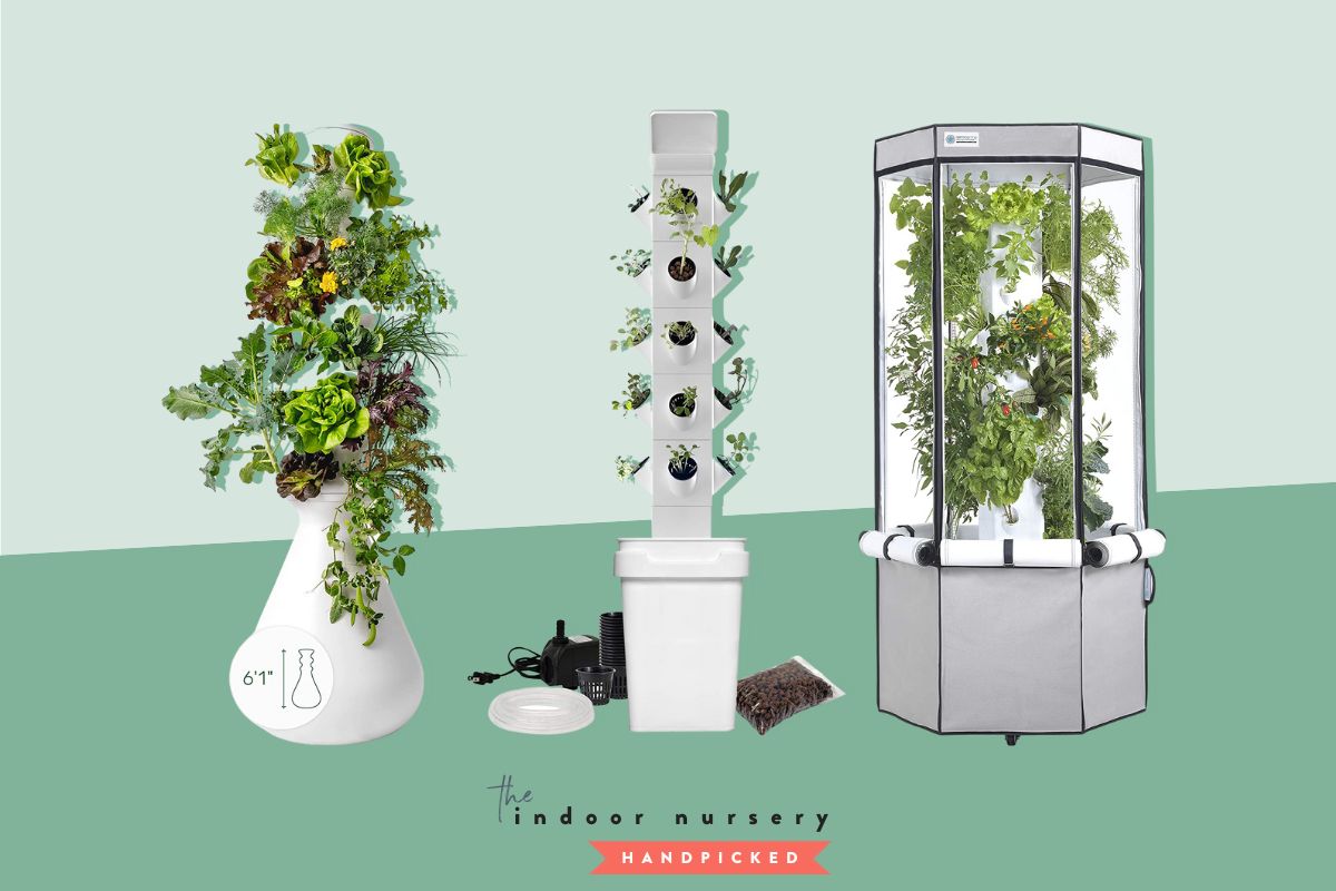The Best Hydroponic Tower For Indoor Gardening