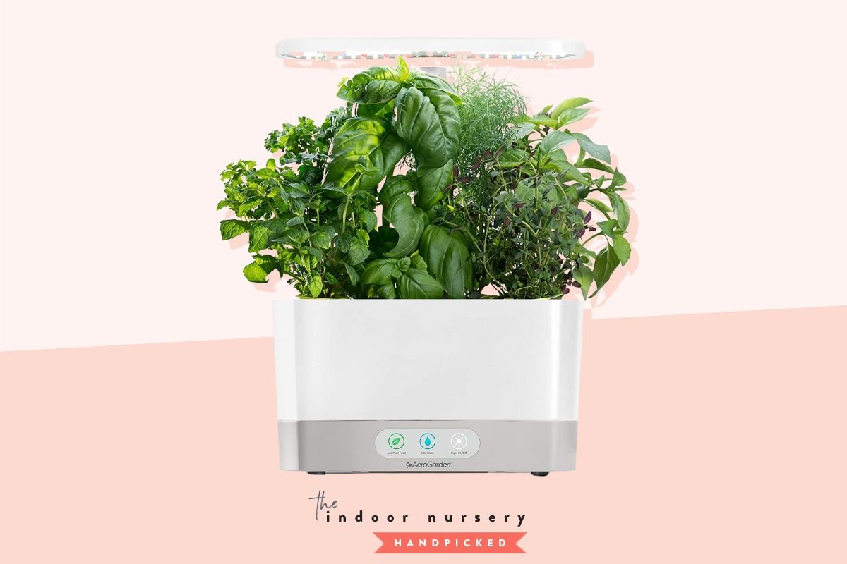 The best indoor herb garden kits for the kitchen