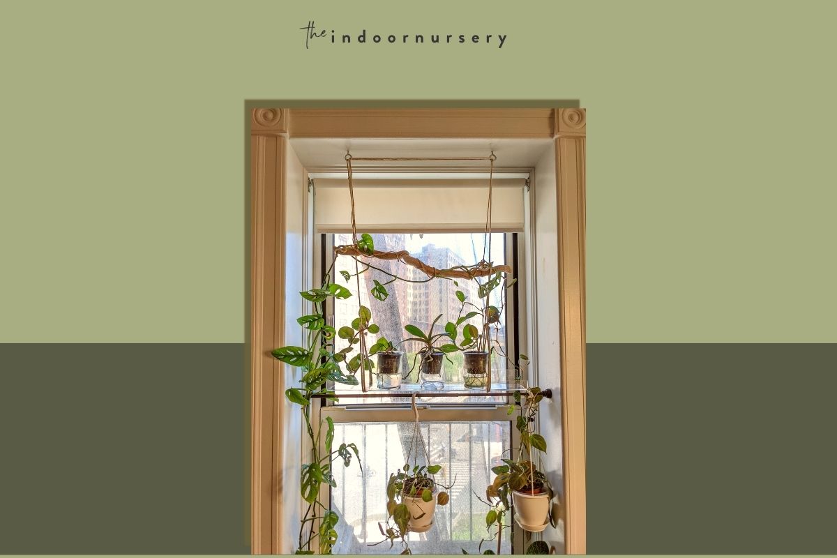 DIY: how to make a window shelf for plants