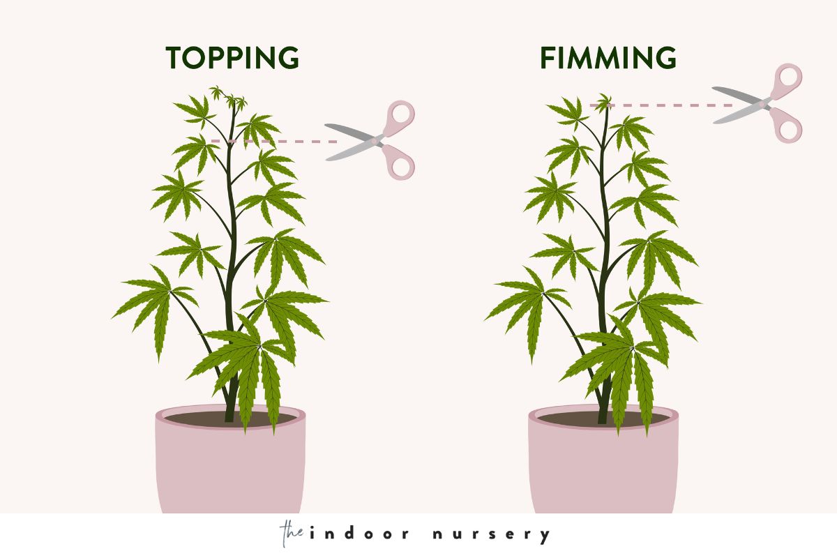 topping versus fimming