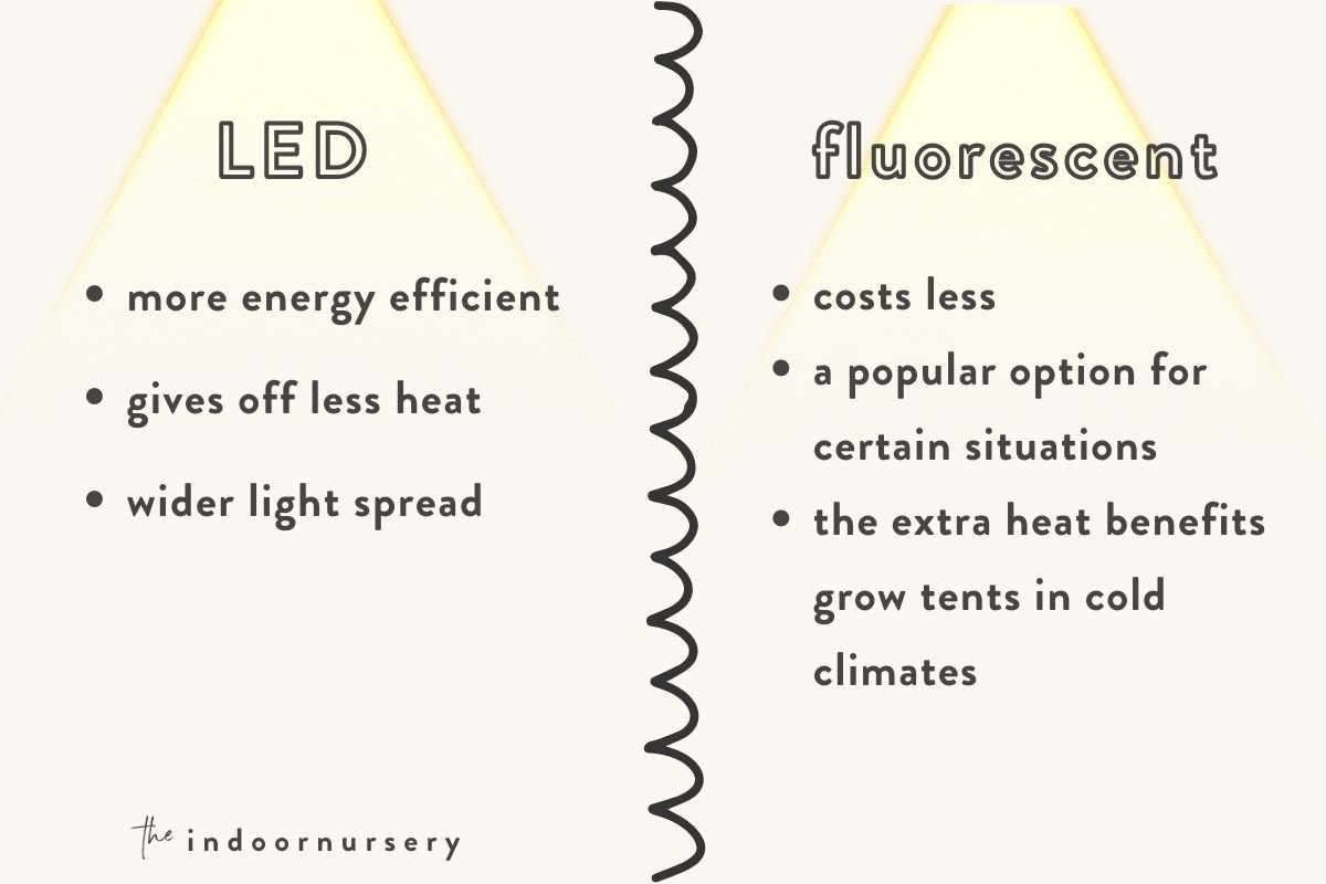 Difference Between LED Lights And Grow Lights: Are LED Lights Better For  Plants