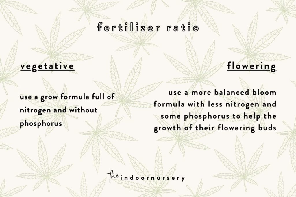 How To Transition From Vegetative To Flowering Cannabis