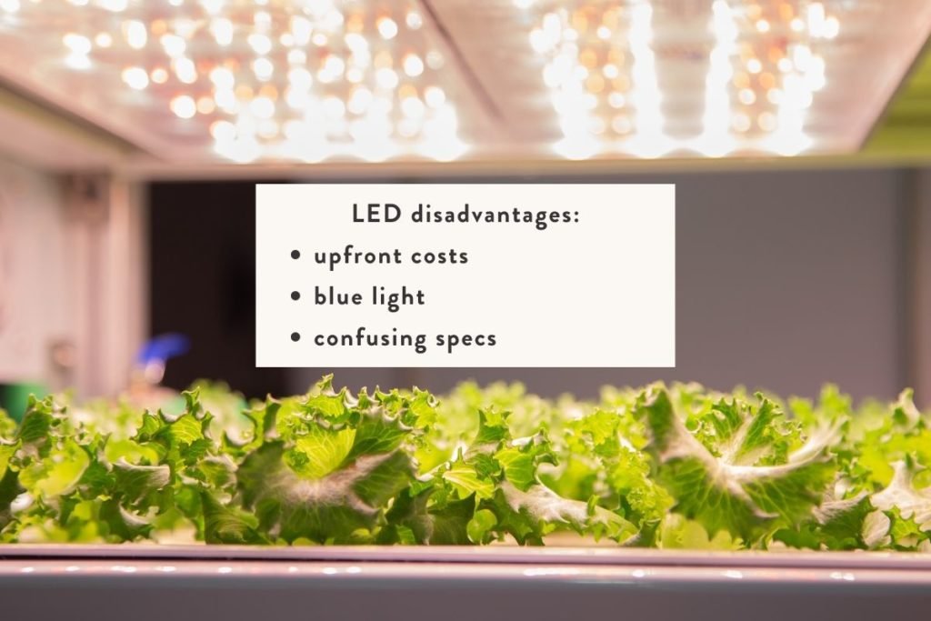 led vs fluorescent grow lights which is best for indoor?