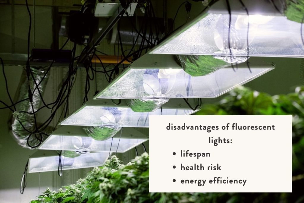 led vs fluorescent grow lights which is best for indoor?