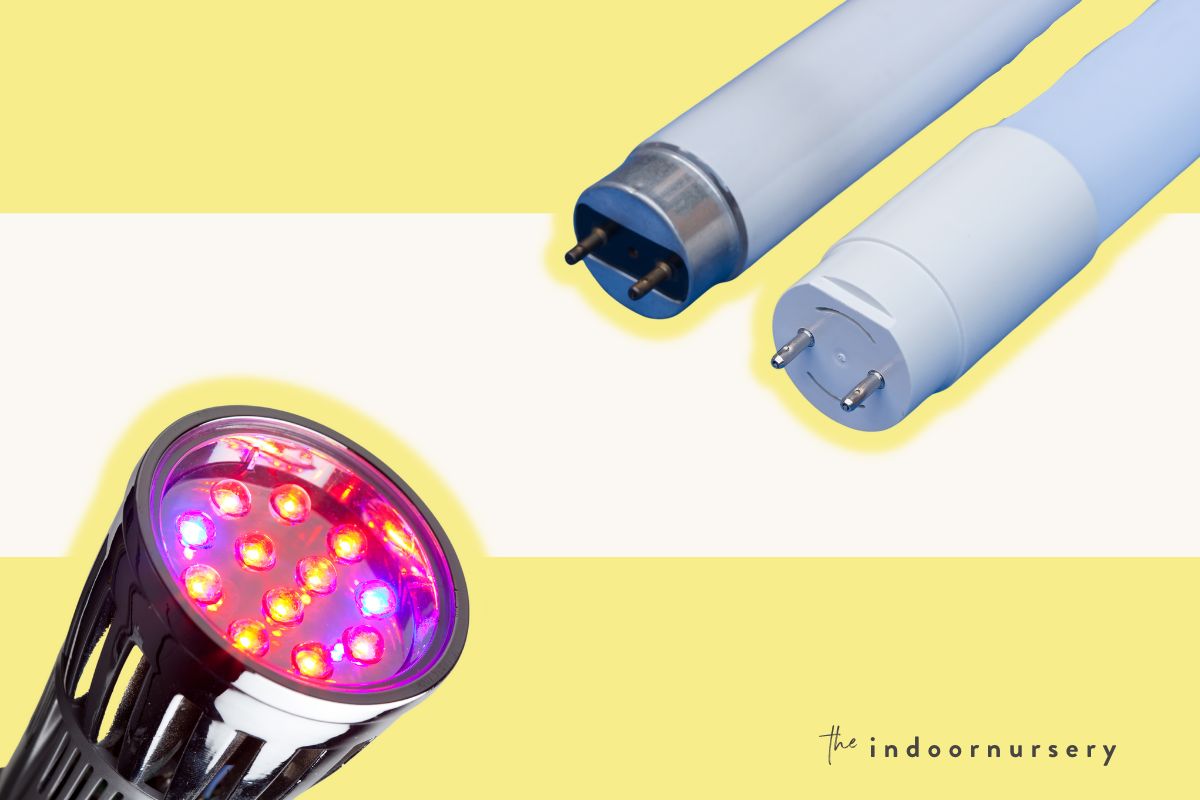 led vs fluorescent grow lights: which is best for indoor plants?