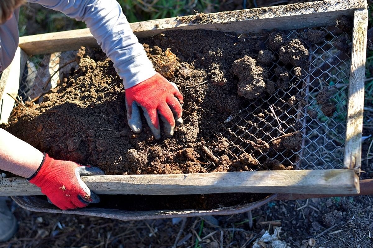 screening worm castings