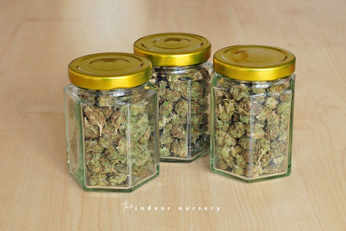 how to store dried cannabis bud in a glass jar