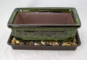 8" Rectangular Moss Green Bonsai / Succulent Pot