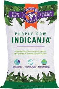 Purple Cow Organics IndiCanja Naturally Organic Indoor Living Plant Based Compost Soil