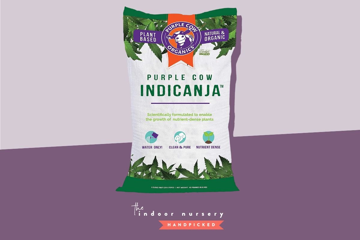 Best Soil For Cannabis For Higher Yield And Potency