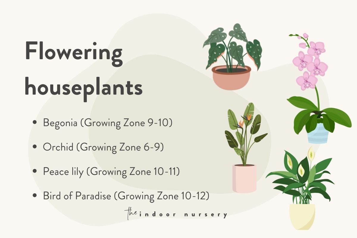 popular flowering plants gardening zones