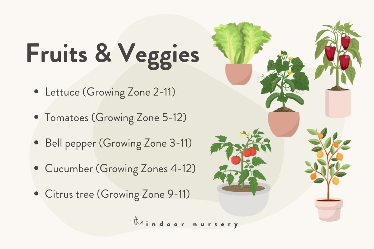 Plant hardiness zones for indoor plants (with map)