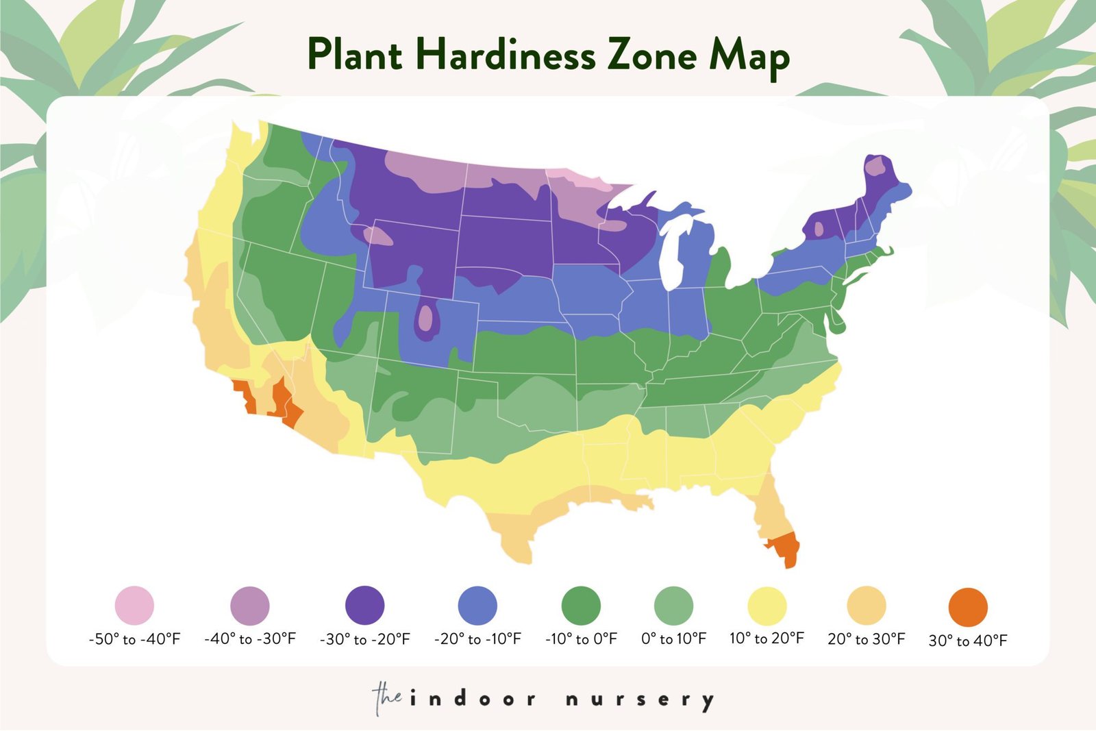 Plant Hardiness Zones For Indoor Plants With Map 9601