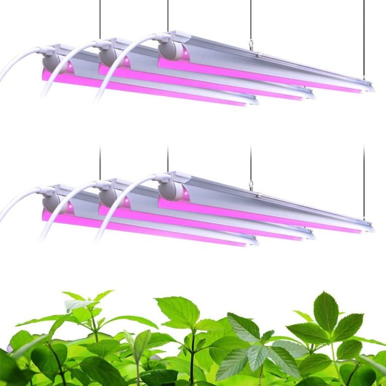 The best grow lights for orchids for beautiful blooms