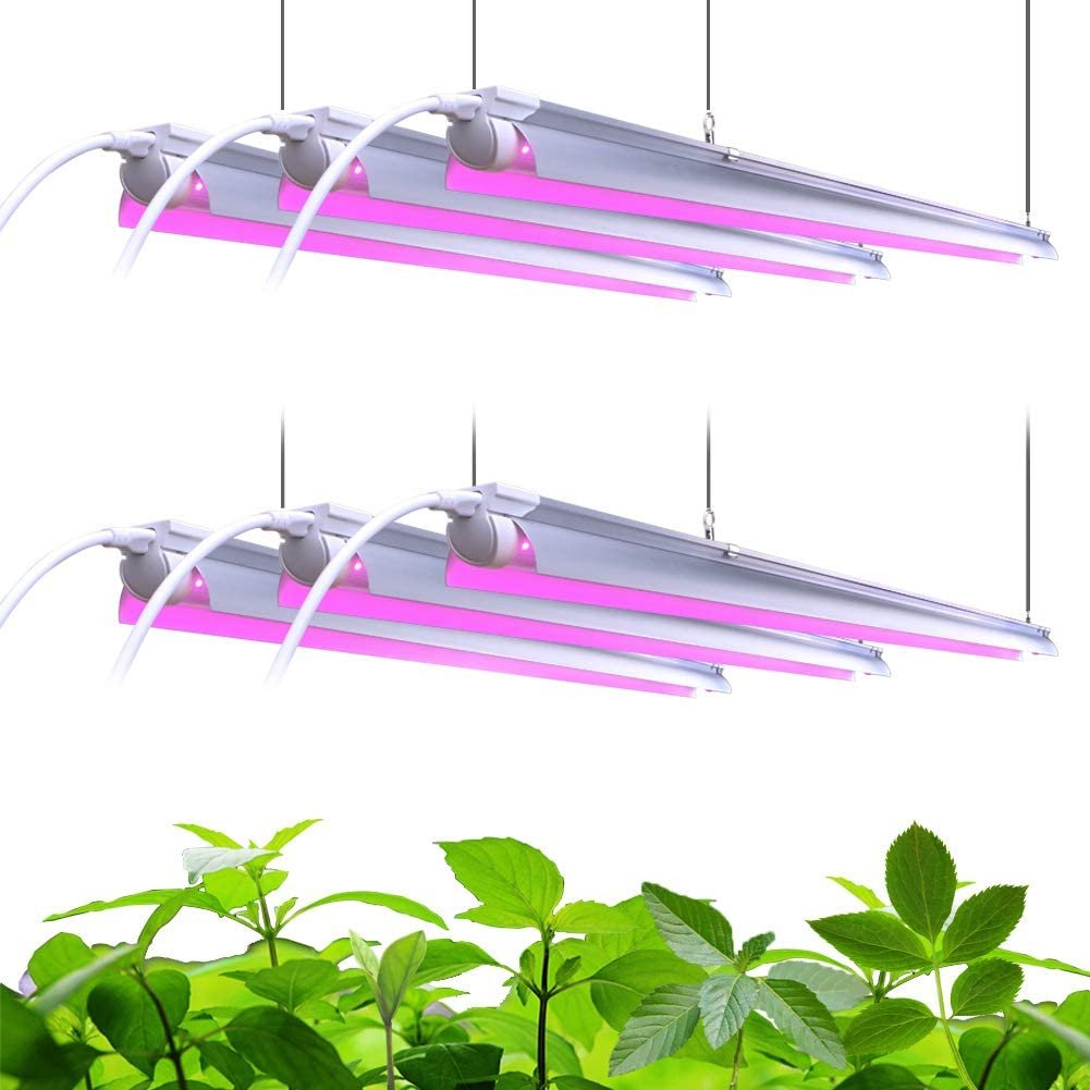 The best grow lights for orchids for beautiful blooms