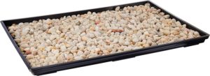 Brussel's 13" Humidity Tray with Decorative Rocks