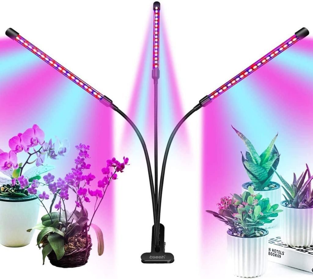 The best grow lights for orchids for beautiful blooms