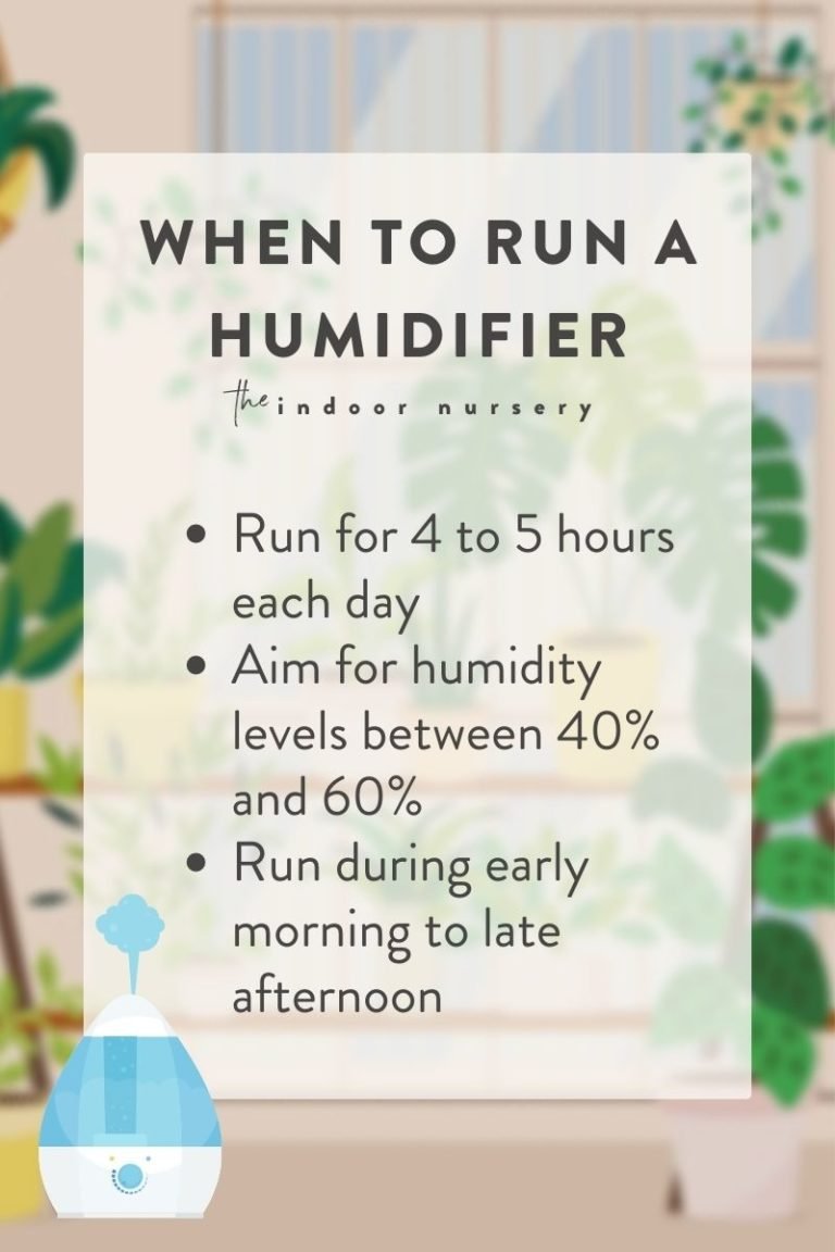 How long should you run a humidifier for indoor plants?