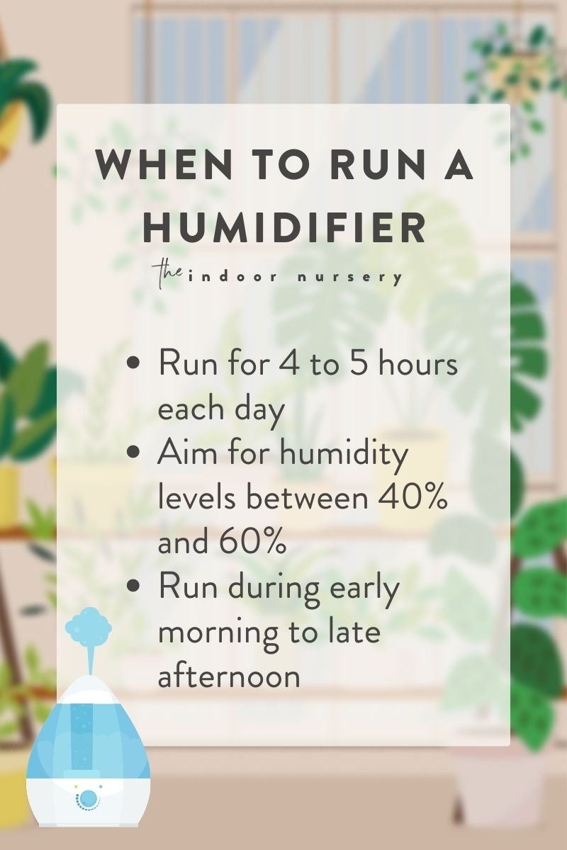 when to run a humidifier