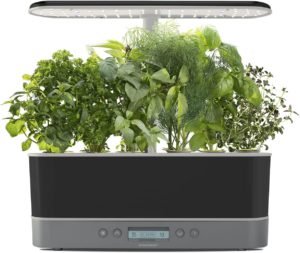 AeroGarden Harvest Elite Slim with Gourmet Herb Seed Pod Kit