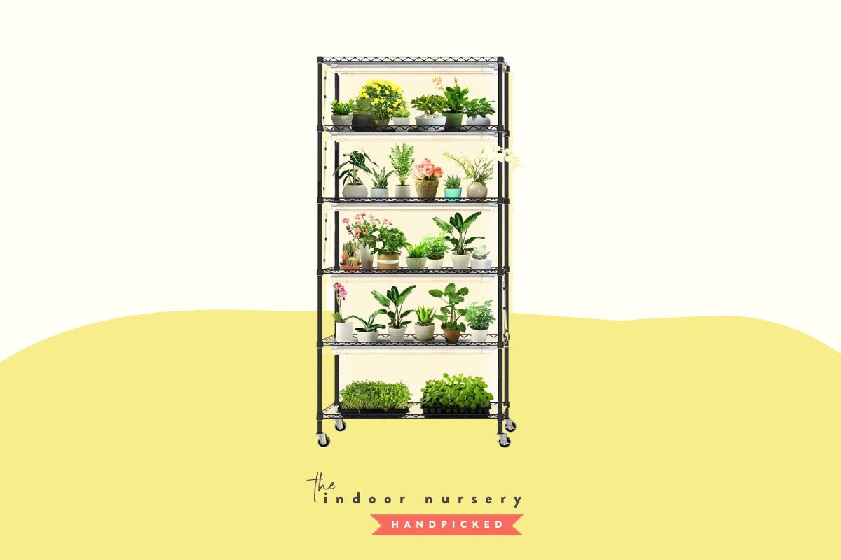 The best plant stand with grow lights for indoor gardening