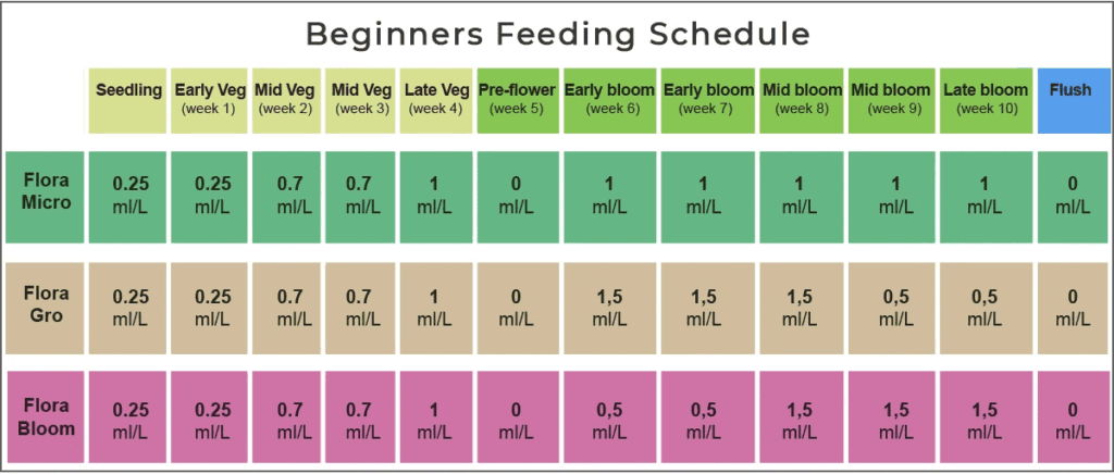 feeding-schedule-for-cannabis-what-you-need-to-know