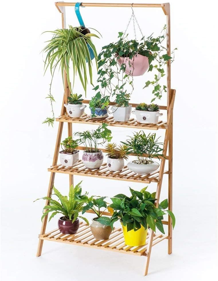 10 best indoor plant shelf picks to elevate your plants