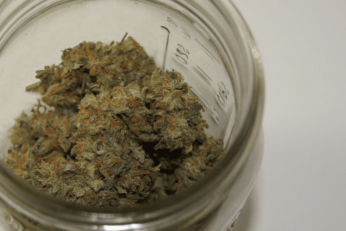 Patience is a Virtue: Curing Buds for Best Taste