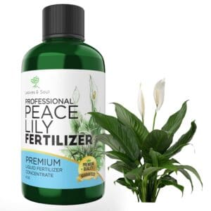 peace lily fertilizer