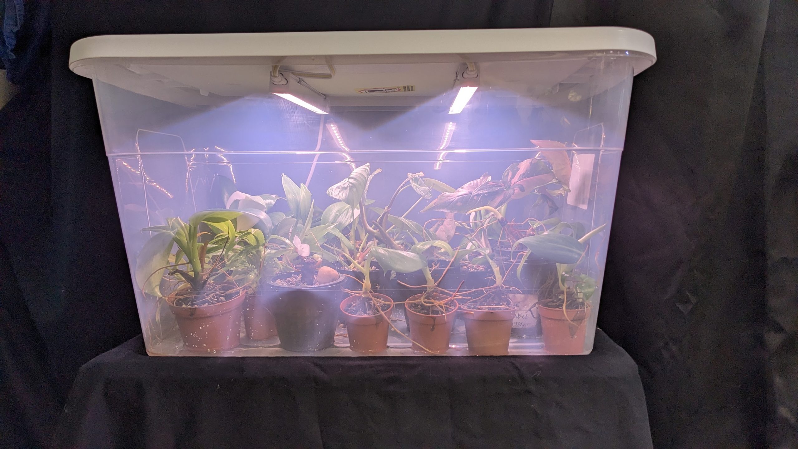 DIY Propagation Box With Grow Light