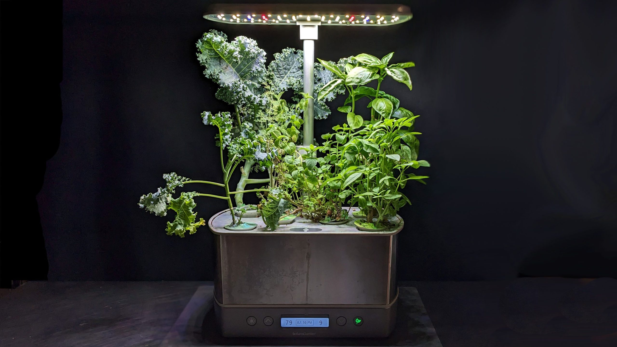 TESTED: Aerogarden vs Click and Grow Smart Garden